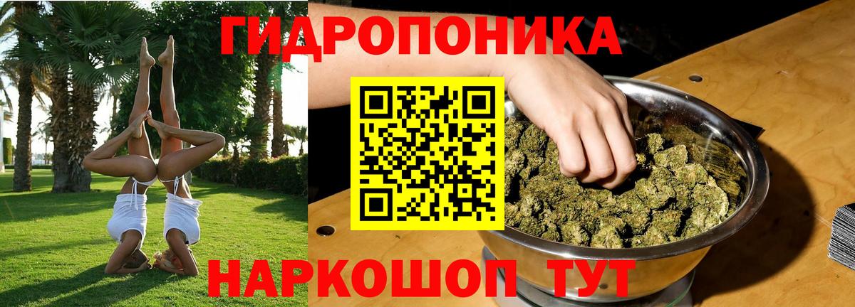 МАРИХУАНА OG Kush Людиново